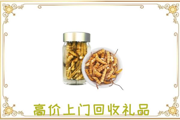 齐齐哈尔周边回收虫草